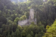 Ruine-Wieladingen