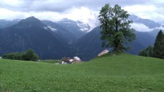 IMG20190713153153